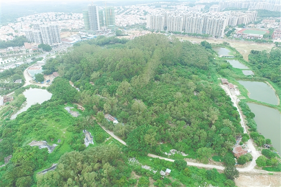 江門市JCR2025-188（臺山27）號地。