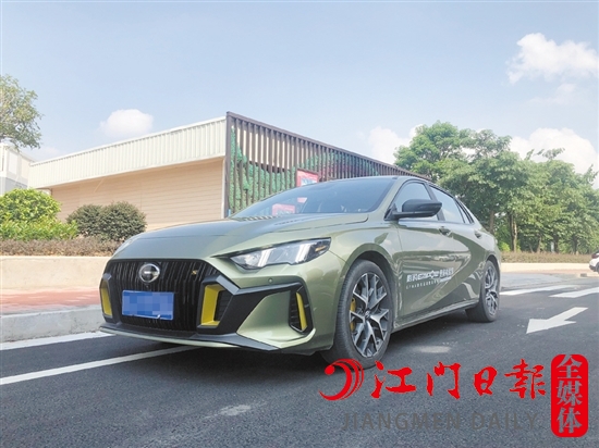 影豹的外觀運(yùn)動感十足。