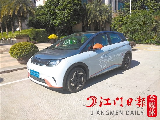 海豚外觀年輕、可愛。