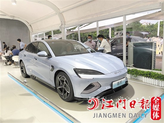 海豹外觀年輕運動。