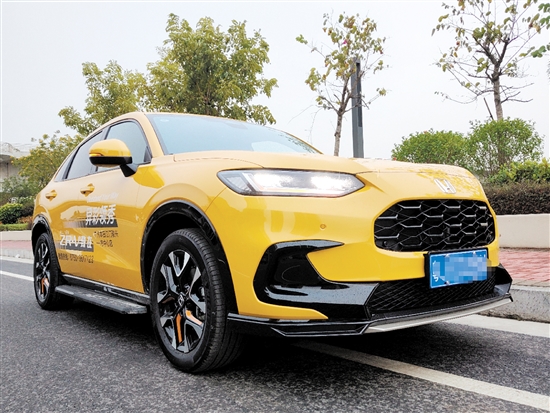 致在配色大膽，充滿運(yùn)動氣息。