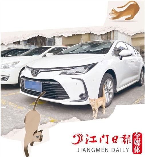 車主停車時(shí)，盡量減少停在流浪貓出沒的地方。